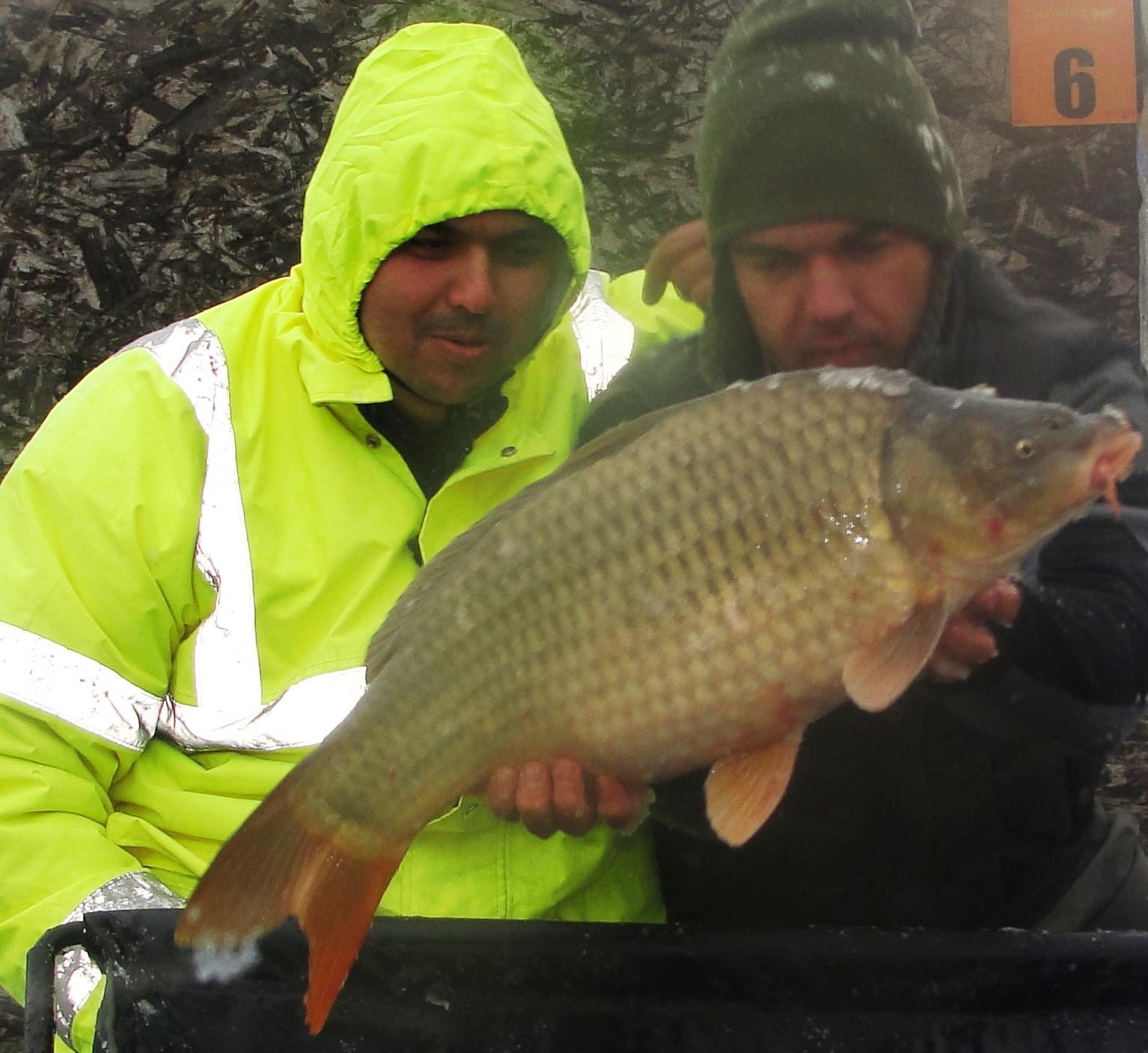 Magura 9 25 - 26 octombrie 2014 - 25.JPG